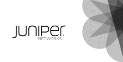 Juniper
